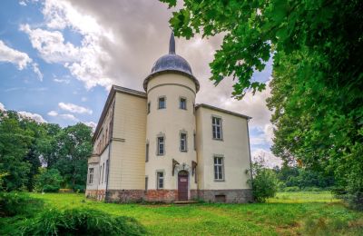 Château à vendre Krąpiel, Pałac w Krąpielu, Poméranie occidentale, Image 6/15