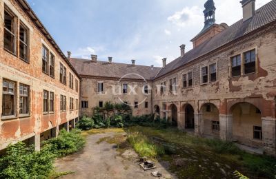 Château à vendre Kounice, Zámek Kounice, Středočeský kraj, Image 14/24