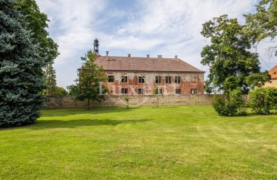 Château à vendre Kounice, Zámek Kounice, Středočeský kraj, Zámek Kounice 2024