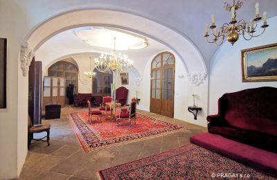 Château à vendre Kraj Vysočina, Hall d'entrée
