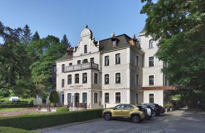 Villa historique à vendre Duszniki-Zdrój, Wojska Polskiego 10, Basse-Silésie, Vue latérale