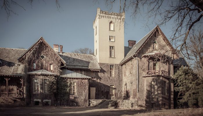 Château à vendre Sośnie, Grande-Pologne,  Pologne