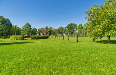 Manoir à vendre Czekanowo, Grande-Pologne, Terrain