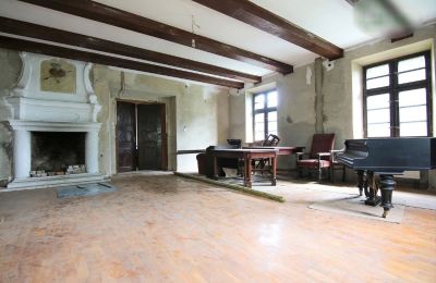 Manoir à vendre Rogoźno, Dwór w Studzieńcu 28, Grande-Pologne, Image 9/16