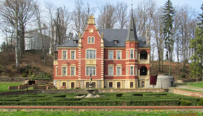 Château à vendre Ziębice, Basse-Silésie,  Pologne