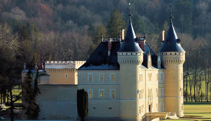 Château à vendre France,  France