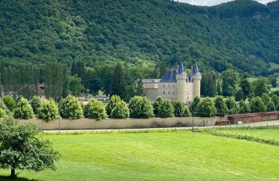 Château à vendre France, Image 4/49