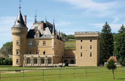 Château à vendre France, Image 38/49