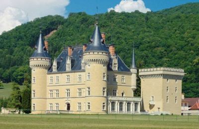 Château à vendre France, Image 39/49