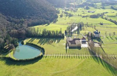 Château à vendre France, Image 45/49