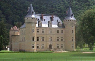 Château à vendre France, Image 48/49