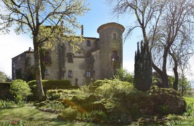 Propriétés, Château du 12ème siècle rénové, 8 chambres, dans un village Le-Caylar-Hérault