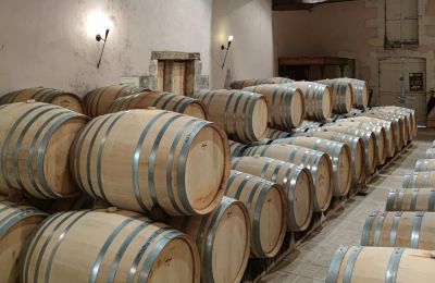 Château à vendre Blaye, Nouvelle-Aquitaine, Cave à vin