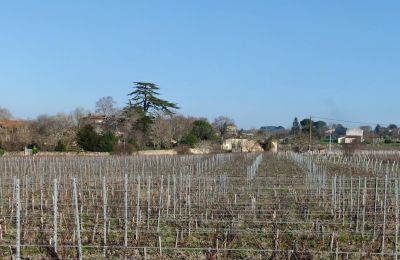 Château à vendre Blaye, Nouvelle-Aquitaine, Image 11/14