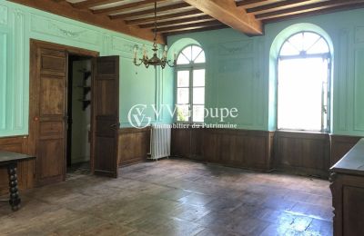 Château à vendre Pontacq, Nouvelle-Aquitaine, Salon