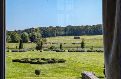 Château à vendre Gisors, Normandie, Parc