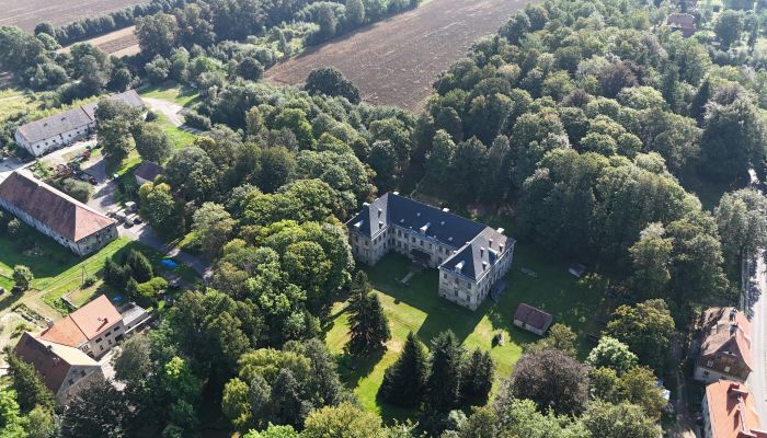 Château à vendre Pobiedna, Basse-Silésie,  Pologne