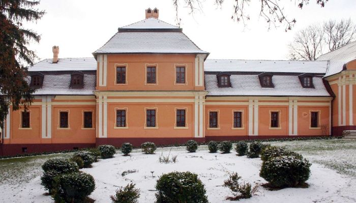 Manoir à vendre Région de Nitra,  Slovaquie