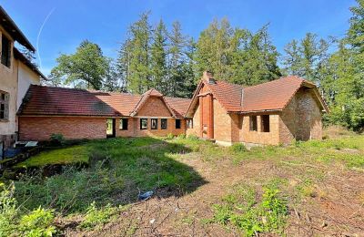 Maison de campagne à vendre Zegrze Pomorskie, Poméranie occidentale, Image 3/7