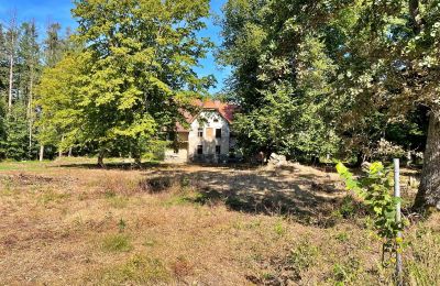 Maison de campagne à vendre Zegrze Pomorskie, Poméranie occidentale, Image 4/7