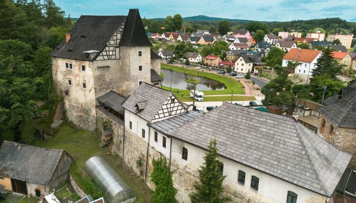 Château médiéval Skalná 1