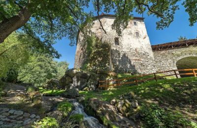 Château médiéval à vendre Karlovarský kraj, Image 27/31