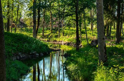 Manoir à vendre Virķēni, virķēnu muiža, Vidzeme, Image 9/17