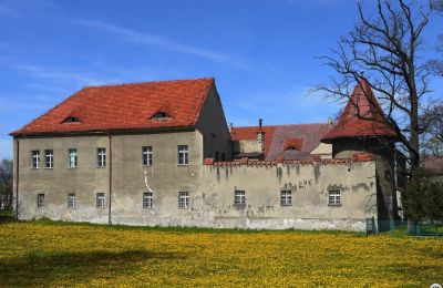 Château à vendre Bielawa, Wolności 92, Basse-Silésie, Image 1/7