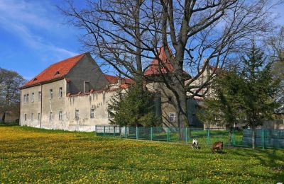 Château à vendre Bielawa, Wolności 92, Basse-Silésie, Image 4/7