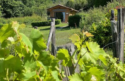 Propriété historique à vendre Mirande, Occitanie, Image 23/45