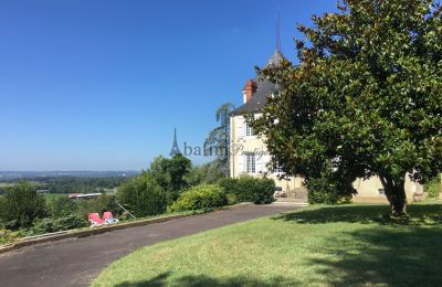 Manoir à vendre Pau, Nouvelle-Aquitaine, Image 15/19