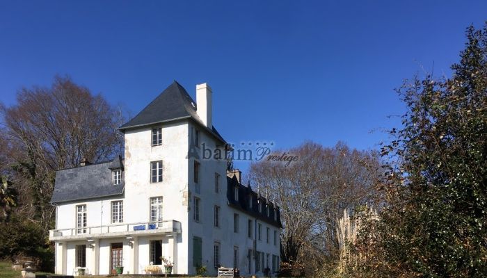 Château à vendre Pau, Nouvelle-Aquitaine,  France