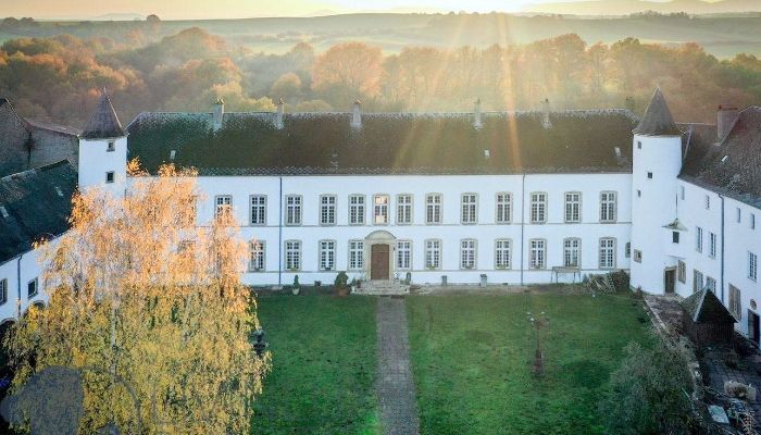 Château Roussy-le-Bourg 1