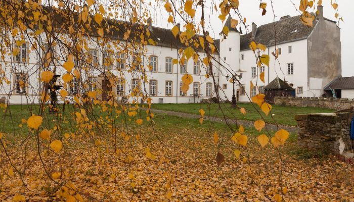 Château Roussy-le-Bourg 2