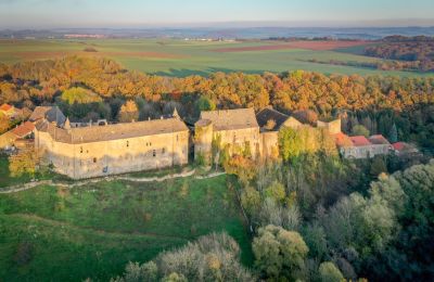 Château à vendre Roussy-le-Bourg, Grand-Est, Situation du bien