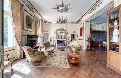 Château à vendre Centre-Val de Loire, Image 6/24