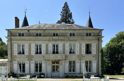 Château à vendre Centre-Val de Loire, Vue de l'arrière