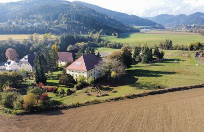 Manoir à vendre Kärnten, Photo Drone