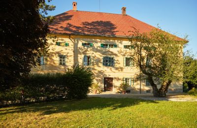 Manoir à vendre Kärnten, Vue frontale