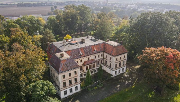 Château à vendre Wojnowice, Silésie,  Pologne