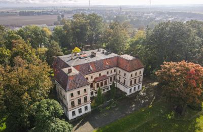 Château à vendre Wojnowice, Pałacowa, Silésie, Photo Drone