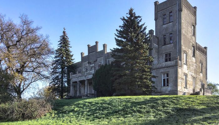 Château à vendre Górki Dąbskie, Cujavie-Poméranie,  Pologne