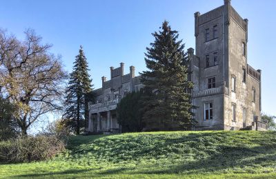 Château Górki Dąbskie, Cujavie-Poméranie