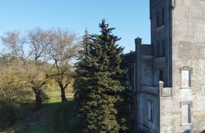 Château à vendre Górki Dąbskie, Pałac w Górkach Dąbskich, Cujavie-Poméranie, Tour