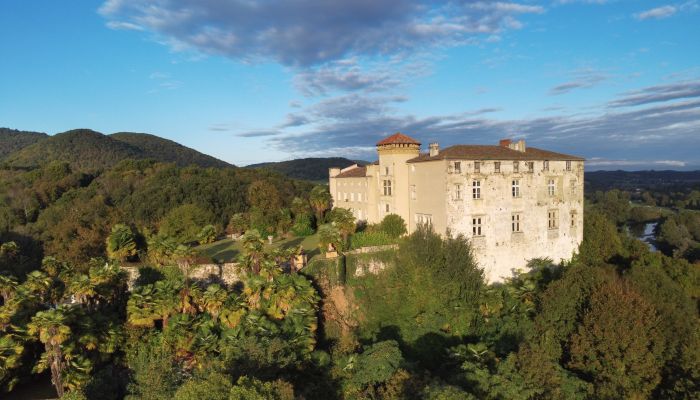 Château médiéval à vendre Occitanie,  France