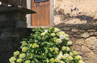 Ferme à vendre Moeche, Sta Cruz de Moeche, Galice, Detalle