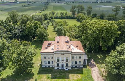 Château Karszew, Grande-Pologne