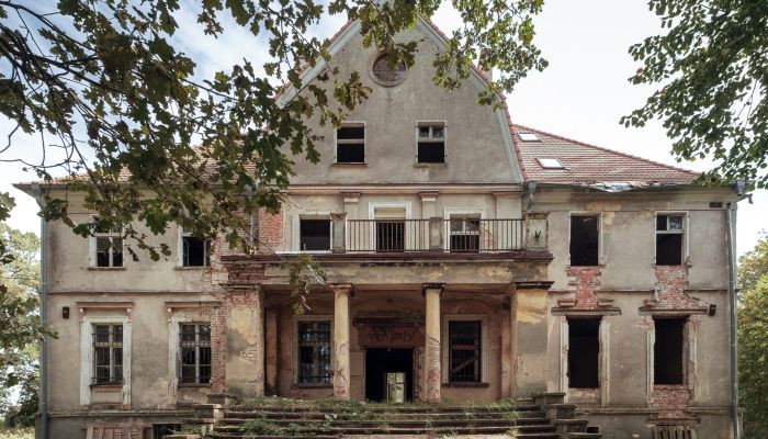 Château à vendre Wilków, Voïvodie d'Opole,  Pologne