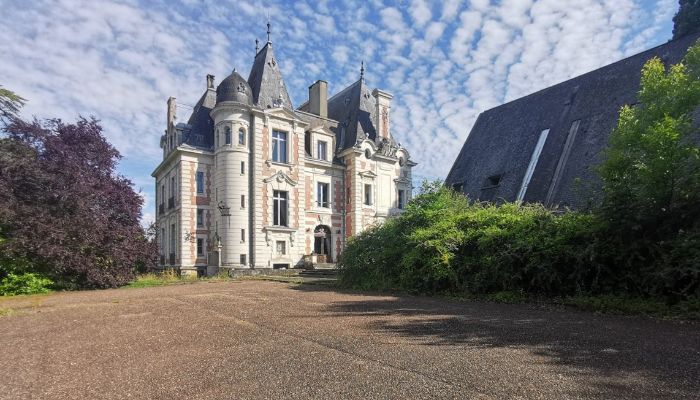 Château à vendre Le Mans, Pays de la Loire,  France