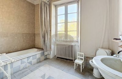 Château à vendre 31000 Toulouse, Occitanie, Salle de bain